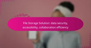 File Storage Solution: data security, accessibility, collaboration efficiency