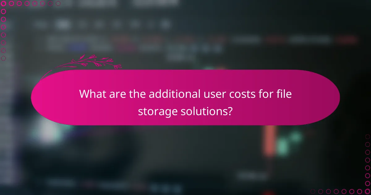 What are the additional user costs for file storage solutions?