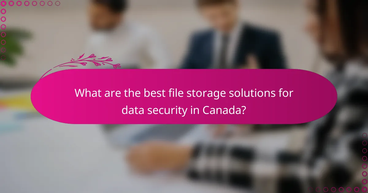 What are the best file storage solutions for data security in Canada?