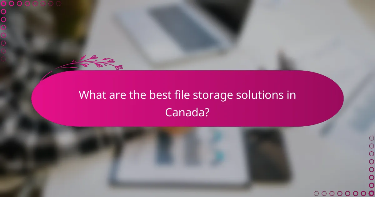 What are the best file storage solutions in Canada?
