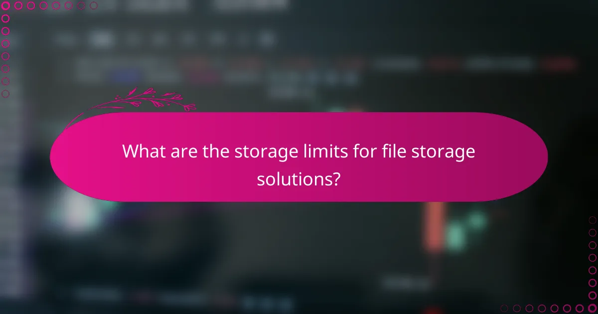 What are the storage limits for file storage solutions?
